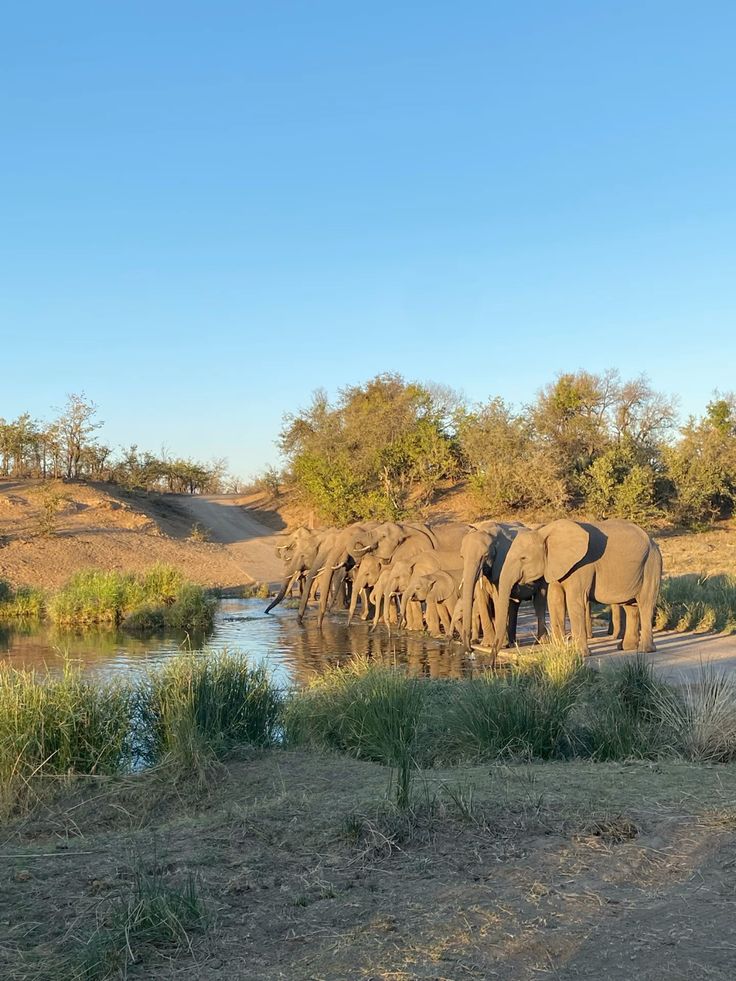 34e179334336b1798b2d3e418bac091a Sabi Sand Lodges About Us