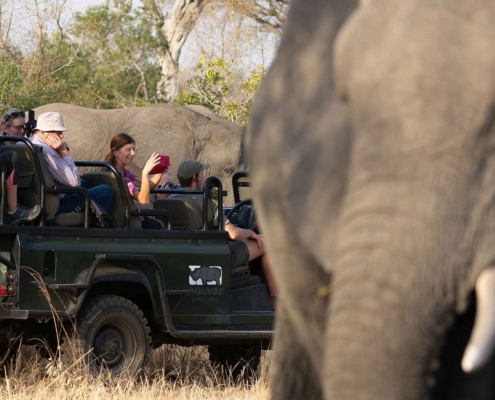 Sabi Sand Lodges - Umkumbe Safari Lodge