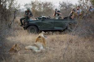 Sabi Sand Lodges