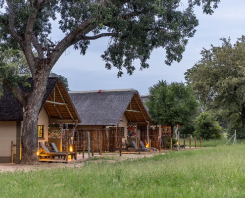 Umkumbe Safari Life