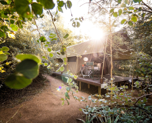 Umkumbe Bush Lodge