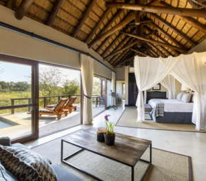 lion_sands_tinga_lodge_suite1 Sabi Sand Lodges
