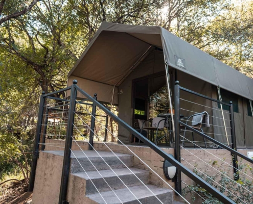 stars-of-africa-umkumbe-bush-lodge-leadwood-deluxe-suite-40 Umkumbe Bush Lodge