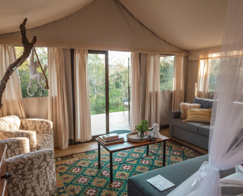 stars-of-africa-umkumbe-bush-lodge-monkeythorn-49 Umkumbe Bush Lodge