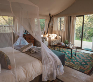 stars-of-africa-umkumbe-bush-lodge-monkeythorn-51 Umkumbe Bush Lodge