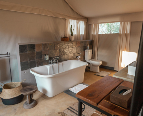 stars-of-africa-umkumbe-bush-lodge-monkeythorn-54 Umkumbe Bush Lodge