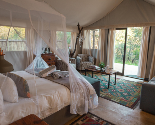 stars-of-africa-umkumbe-bush-lodge-monkeythorn-56 Umkumbe Bush Lodge