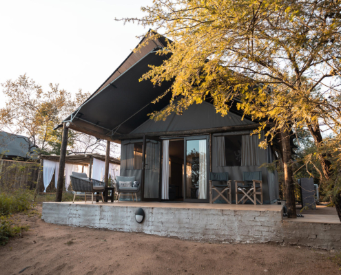 stars-of-africa-umkumbe-bush-lodge-monkeythorn-57 Umkumbe Bush Lodge