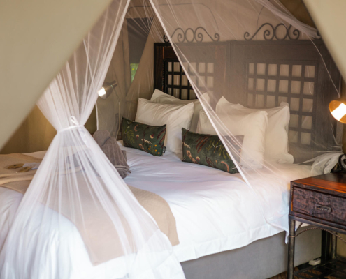 stars-of-africa-umkumbe-bush-lodge-standard-tent-11 Umkumbe Bush Lodge