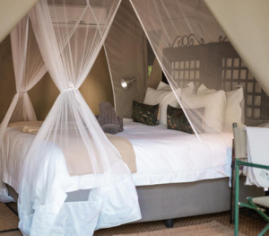 stars-of-africa-umkumbe-bush-lodge-standard-tent-12 Umkumbe Bush Lodge
