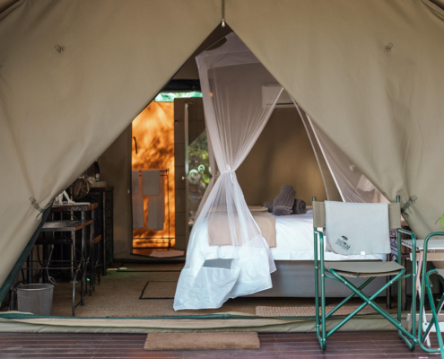 stars-of-africa-umkumbe-bush-lodge-standard-tent-13 Umkumbe Bush Lodge