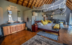DSC_0404-1-scaled Sabi Sand Lodges