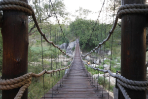 Dulini Moya Viewing Bridge
