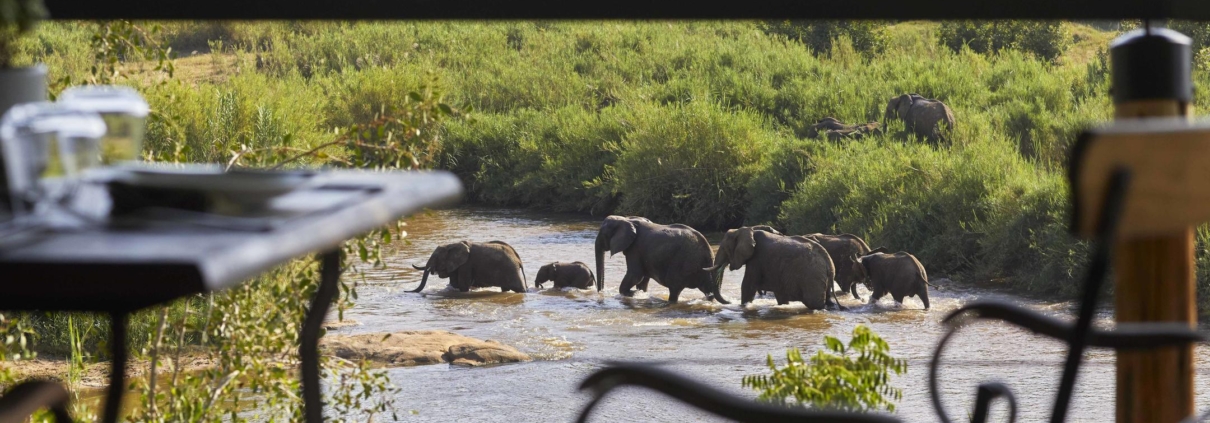 Guide to Luxury Safari Experiences at Sabi Sand Lodges