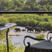Guide to Luxury Safari Experiences at Sabi Sand Lodges
