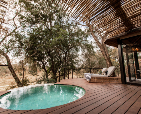 dulini-651 Dulini Moya Lodge