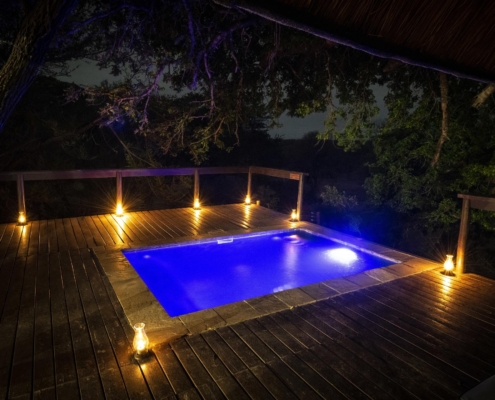 _jc269051 Elephant Plains Game Lodge