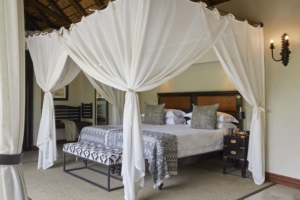 lion_sands_tinga_lodge_suite_bedroom_1 Sabi Sand Lodges - Umkumbe Safari Lodge