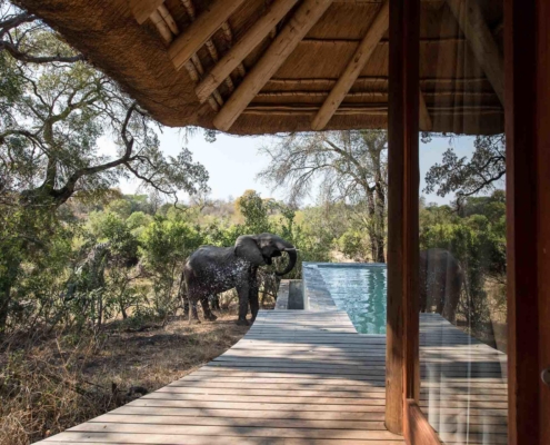 Dulini Leadwood Lodge