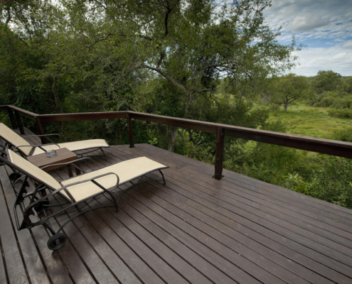 wetu lux view1 Elephant Plains Game Lodge