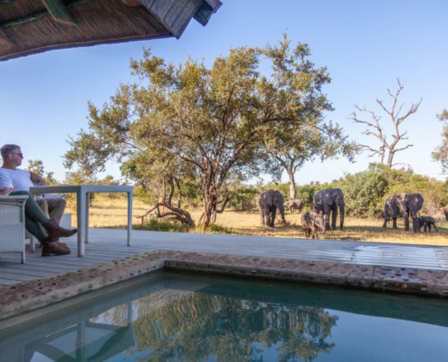Leopard Hills Lodge