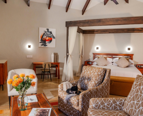 1756386984871idube-game-reserve---safari-suite---giraffe-2 Idube Game Lodge