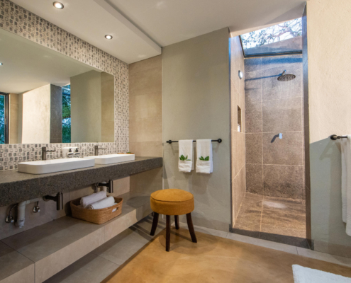 1756386984871idube-game-reserve---safari-suite---giraffe-5 Idube Game Lodge