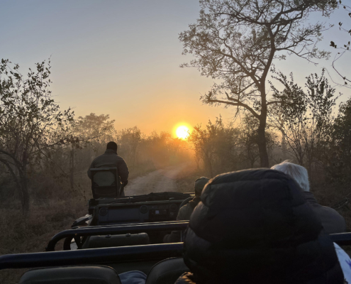 Morning Drive