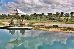 One need not to leave the camp to enjoy Africa s most spectacular wildlife