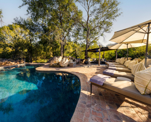 Swimming Pool Sabi Sabi Little Bush Camp