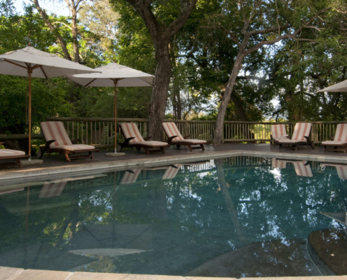 Swimming pool Sabi Sabi Selati Camp