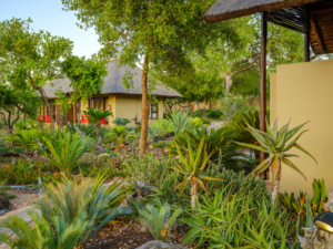 View of The Garden Rooms from the garden