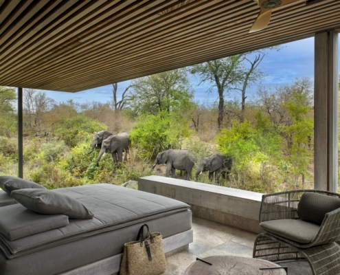 Karula Suite Four Cheetah Plains Lodge
