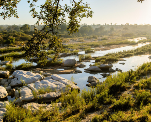 Singita Boulders Lodge_5