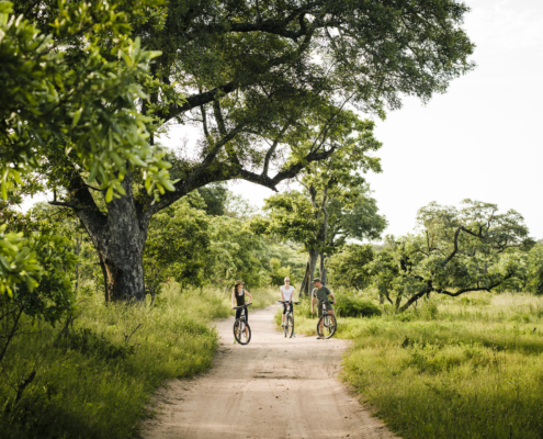 Singita Boulders Lodge_7