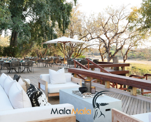 MalaMala Sable Camp