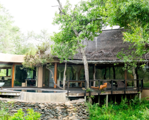 singita_boulders_lodge_bush_suite_ross_couper