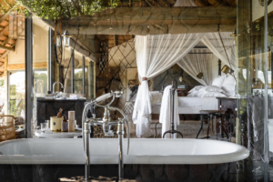 Sabi Sand Lodges - Umkumbe Safari Lodge