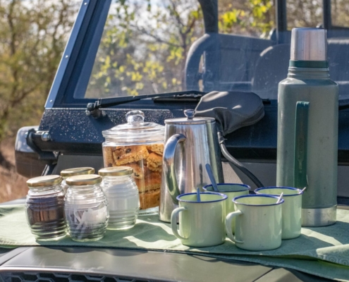 Coffee in Kruger Langa Langa Safari Camp - Sabi Sand Lodges - Sabi Sand Game Reserve