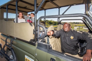 Game viewing in Kruger Park Langa Langa Safari Camp - Sabi Sand Lodges - Sabi Sand Game Reserve