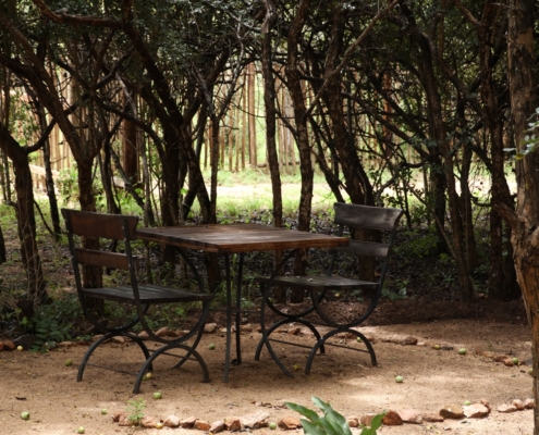 Little Seated Areas Langa Langa Langa Langa Safari Camp - Sabi Sand Lodges - Sabi Sand Game Reserve