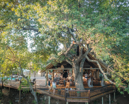 Umkumbe Bush Lodge - Sabi Sand Lodges