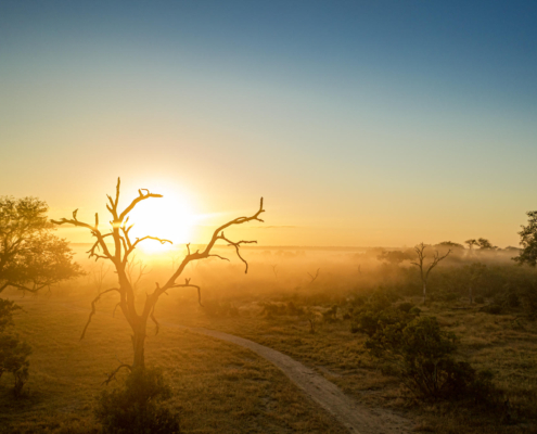 Umkumbe Bush Lodge - Sabi Sand Lodges