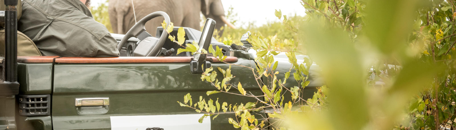 Umkumbe Bush Lodge - Sabi Sand Lodges