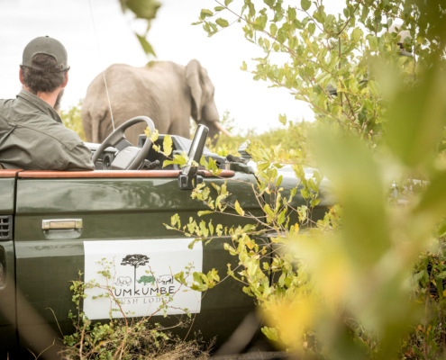 Umkumbe Bush Lodge - Sabi Sand Lodges